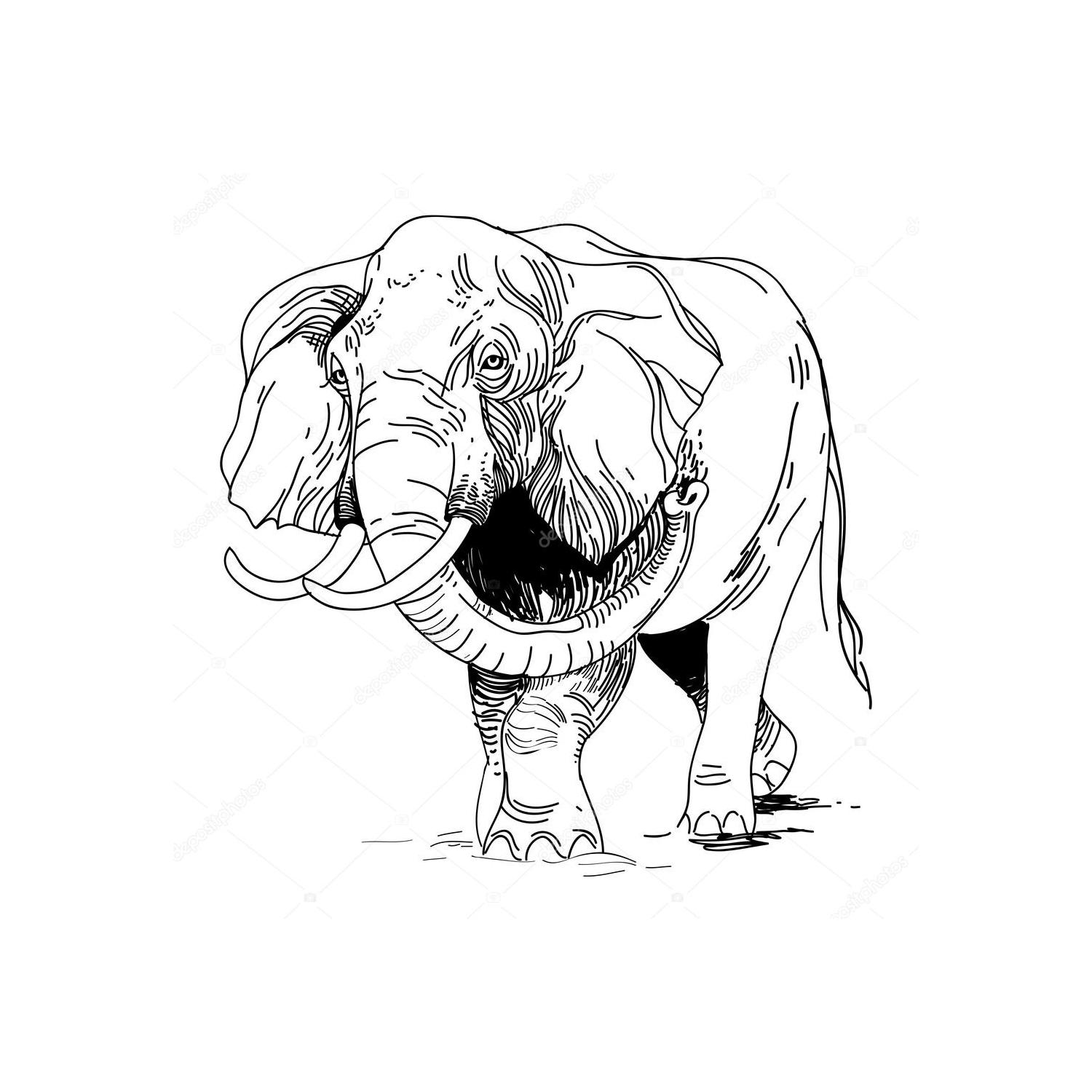 Kraken link