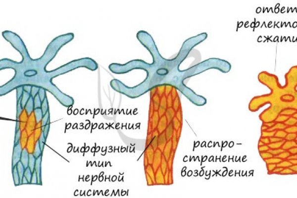 Сайт мега кракен