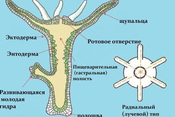 Кракен 20 at