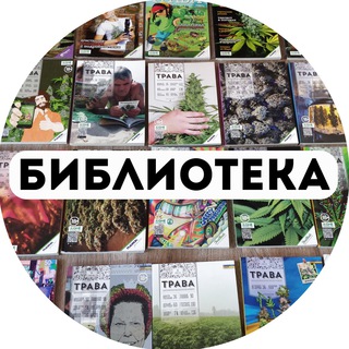 Актуальная ссылка на кракен