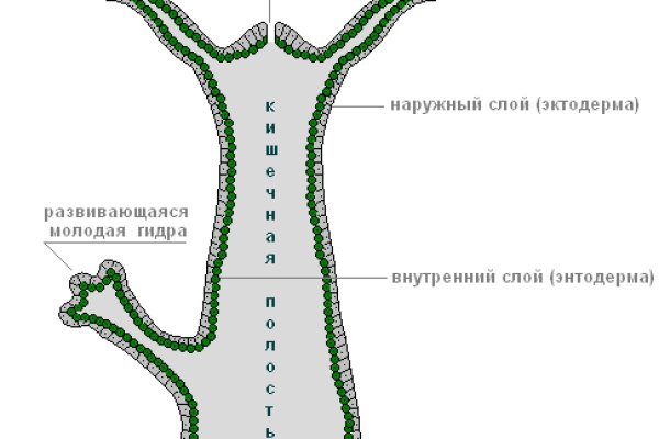 Почему не работает сайт кракен