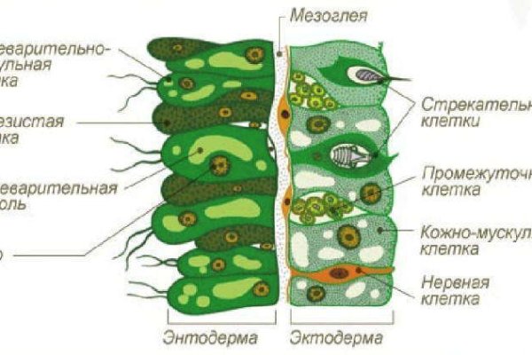 Кракен сайт закладок