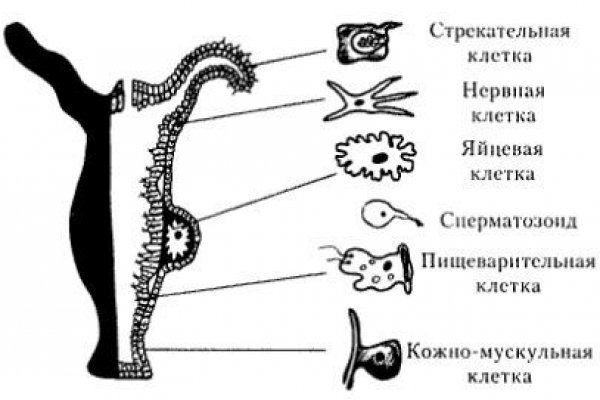 Сайты по продаже наркотиков