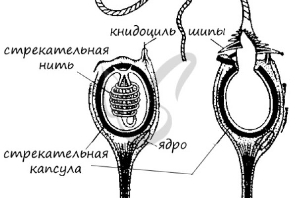 Кракен 15 ссылка