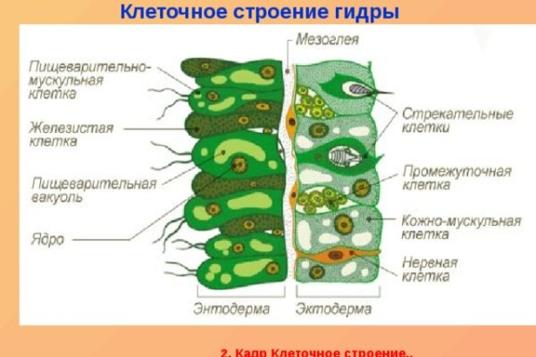 Kraken зеркало стор