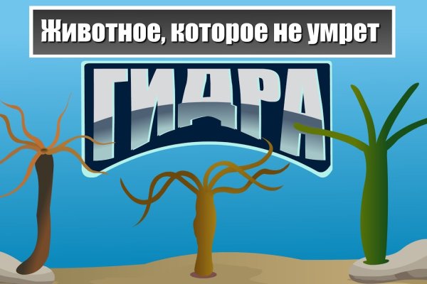 Как выйти на кракен