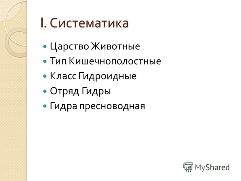 Модератор на кракене