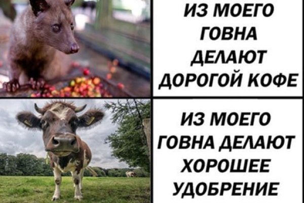 Кракен маркет тор